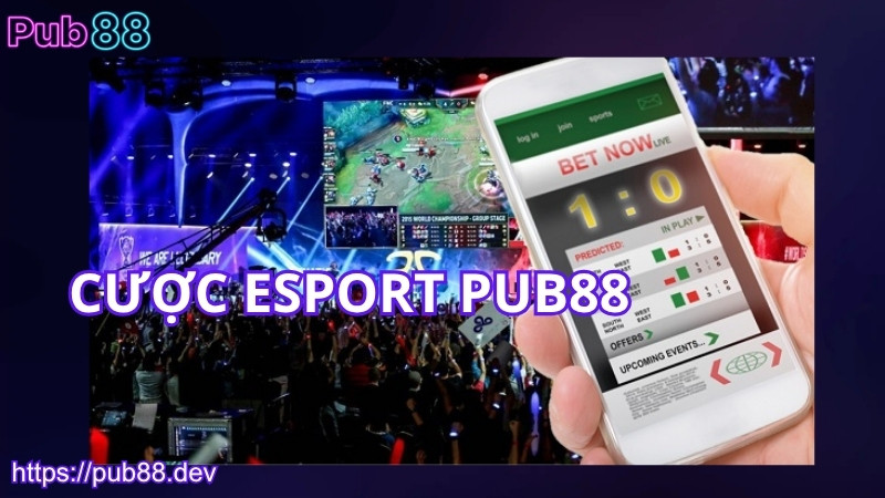 Cá cược Esport PUB88 là gì?