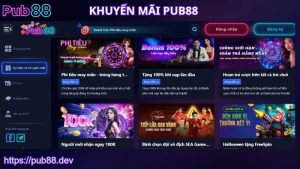 Giới thiệu đôi nét về khuyến mãi PUB88