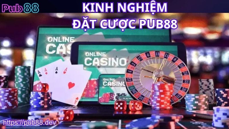 Kinh nghiệm đặt cược PUB88 cho tân thủ