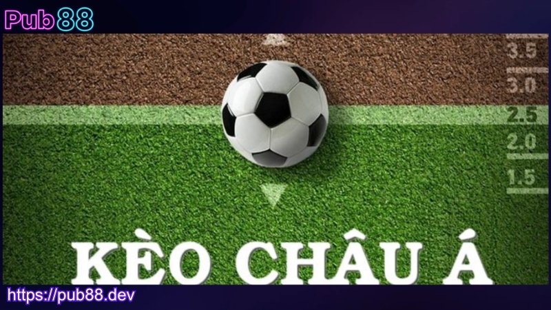 Thể loại kèo châu Á phổ biến